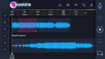 Audio Editor: Recording Studio screenshot 4
