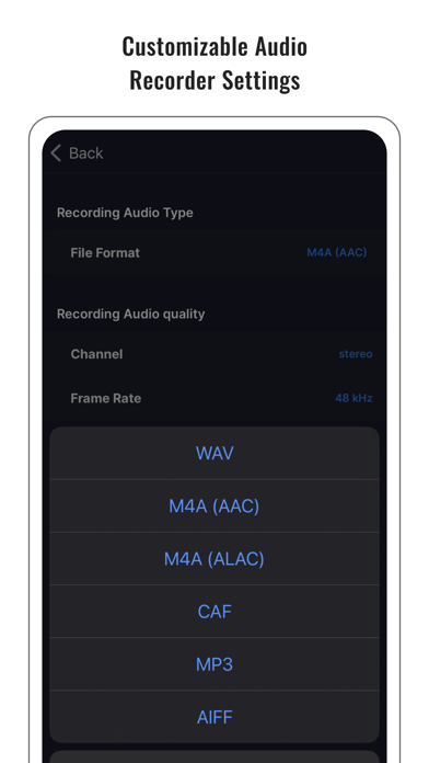 Audio Noise Reducer & Recorder screenshot 2