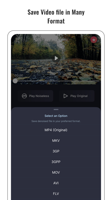 Audio Noise Reducer & Recorder screenshot 3
