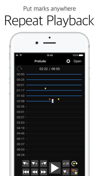 Audipo - Audio Speed Changer - screenshot 3