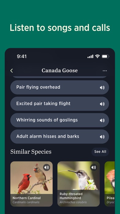 Audubon Bird Guide screenshot 2