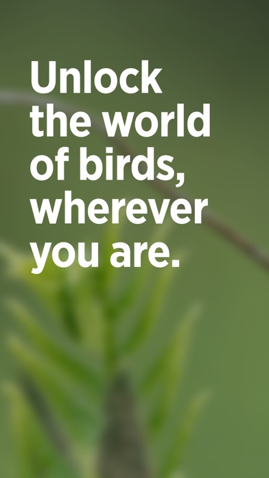 Audubon Bird Guide screenshot 6