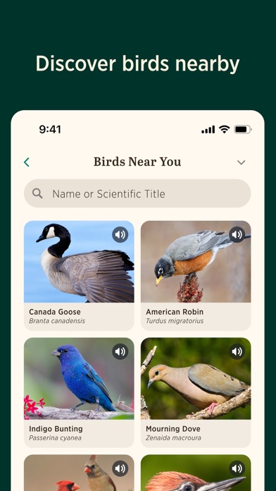 Audubon Bird Guide screenshot 3