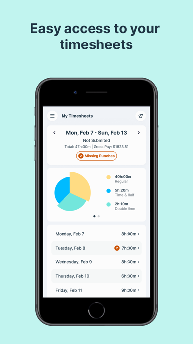 Auris Payroll+ screenshot 2