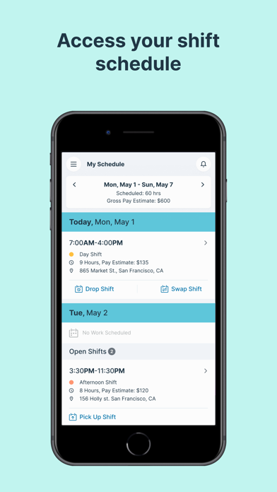 Auris Payroll+ screenshot 4