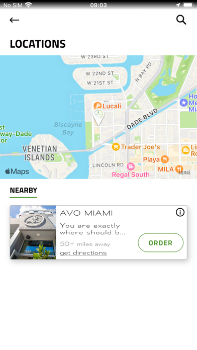 Avo Miami screenshot 5