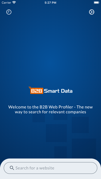 B2B Web Profiler screenshot 4