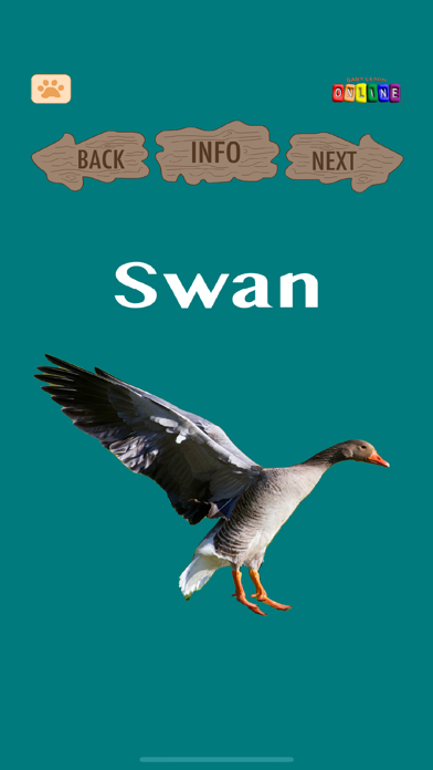 Baby Learn Zoology screenshot 5