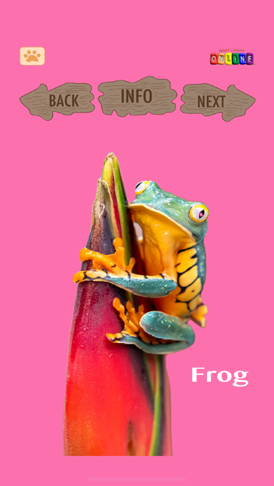 Baby Learn Zoology screenshot 4