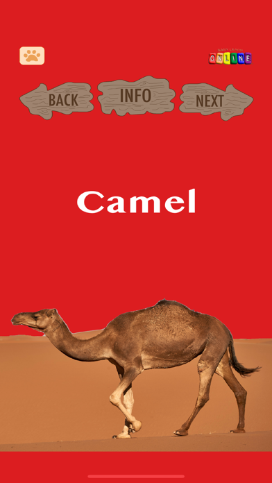 Baby Learn Zoology screenshot 1