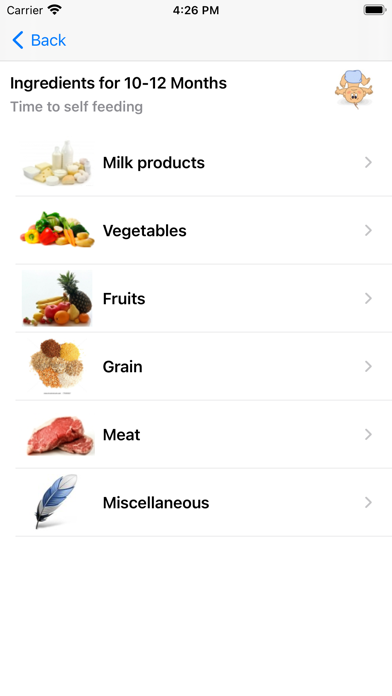 Baby Solid Food screenshot 1