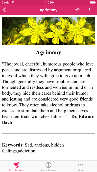 Bach Flowers Remedies screenshot 3