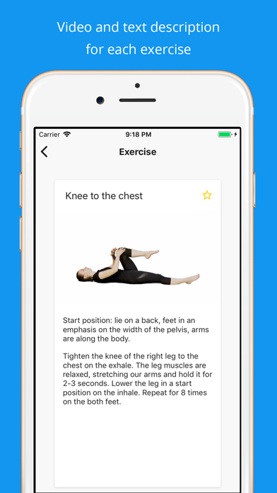 Back pain exercises at home screenshot 3