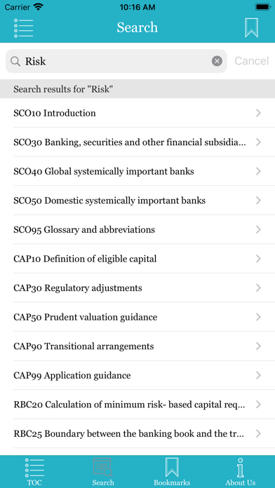 Basel Framework 2021 screenshot 2