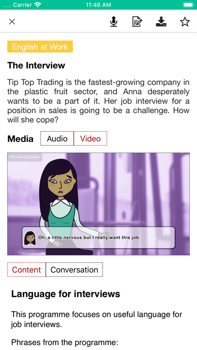 Basic English - Job Interview screenshot 3