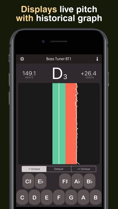 Bass Tuner BT1 screenshot 3