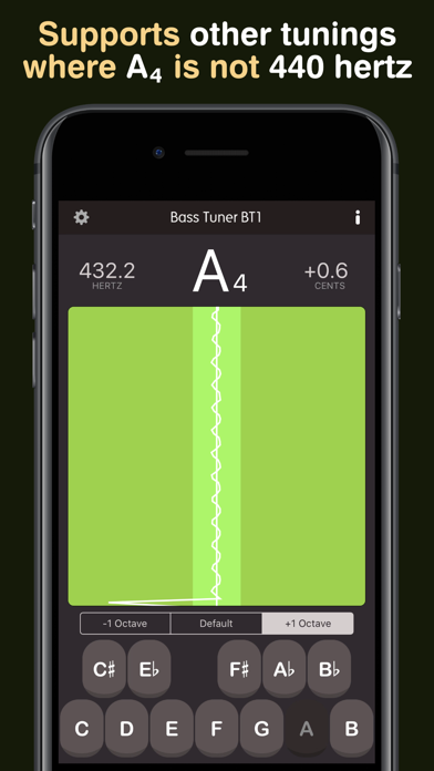 Bass Tuner BT1 screenshot 2