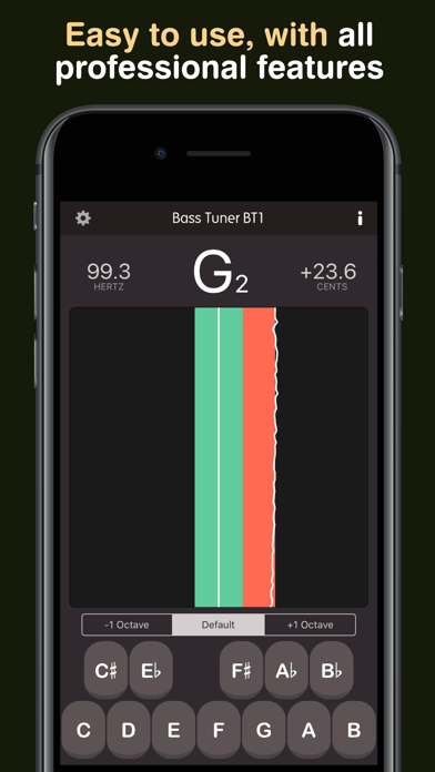 Bass Tuner BT1 screenshot 1