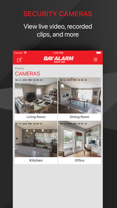 Bay Alarm Link screenshot 2
