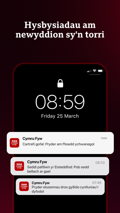 BBC Cymru Fyw screenshot 2