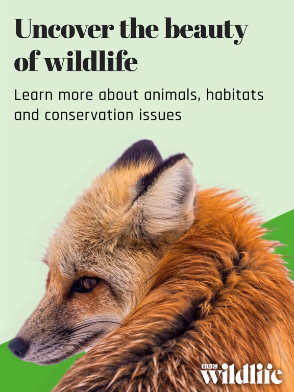 BBC Wildlife Magazine screenshot 10
