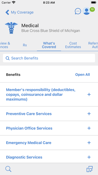 BCBSM screenshot 1