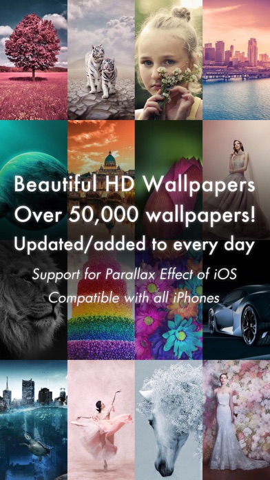 Beautiful 4K/HDR Wallpapers screenshot 10