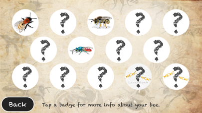 Bee Trail screenshot 4