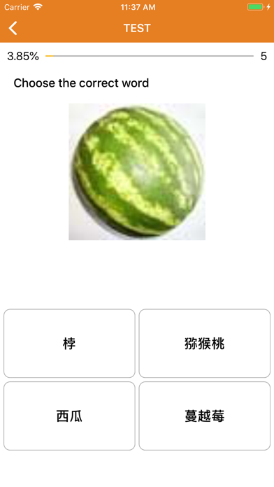 Beginner Chinese: Smart Choice screenshot 2