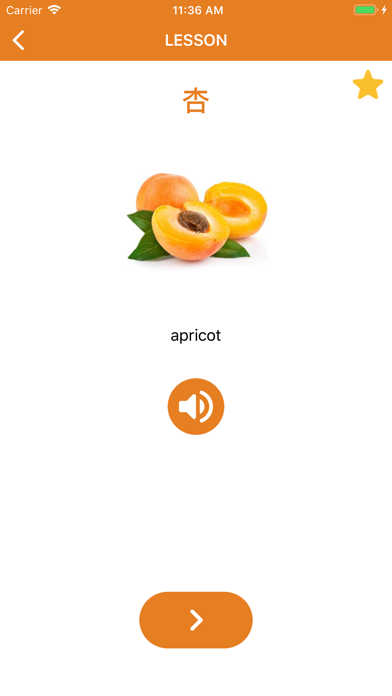 Beginner Chinese: Smart Choice screenshot 6