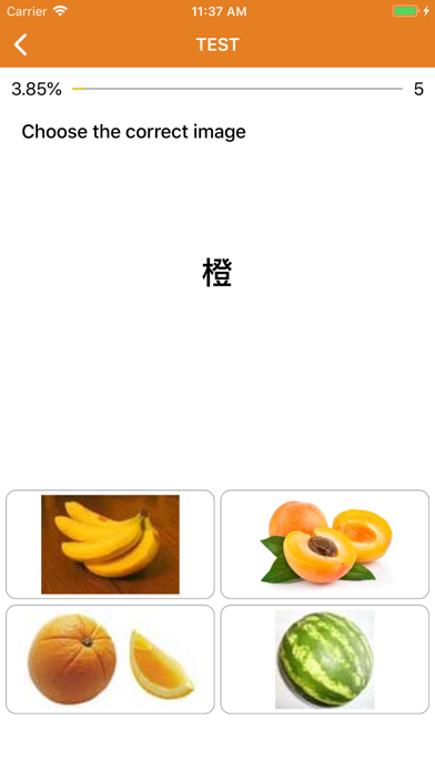 Beginner Chinese: Smart Choice screenshot 3