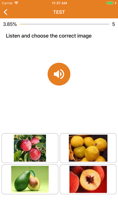 Beginner Chinese: Smart Choice screenshot 4