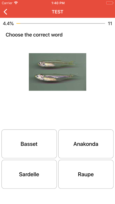 Beginner German - Smart Choice screenshot 3