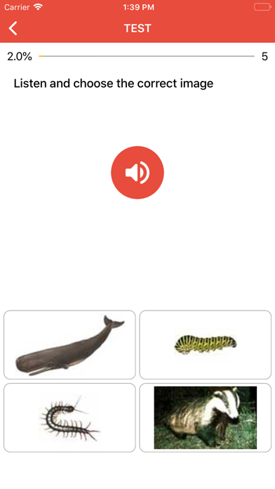 Beginner German - Smart Choice screenshot 5