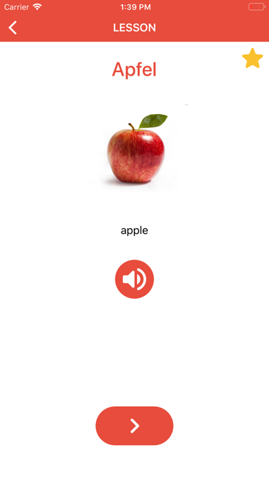 Beginner German - Smart Choice screenshot 7