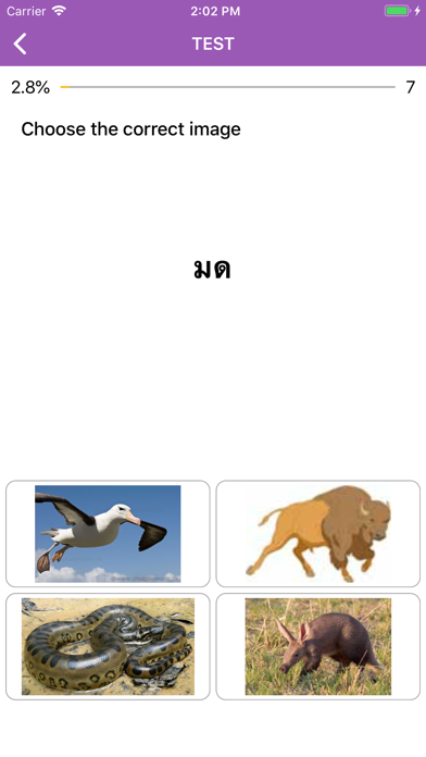 Beginner Thai: Smart Choice screenshot 2