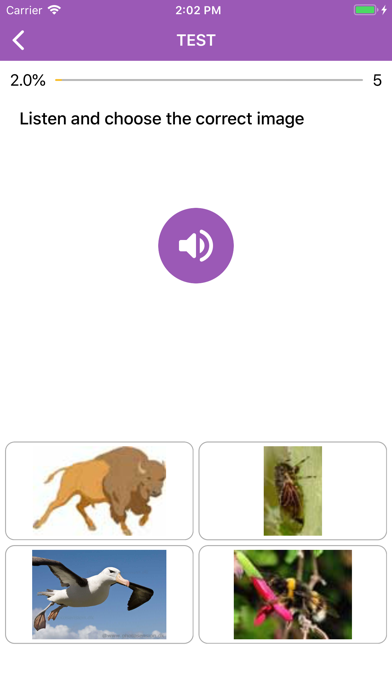 Beginner Thai: Smart Choice screenshot 3