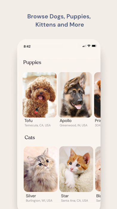 Benji - Adopt & Rehome Pets screenshot 8