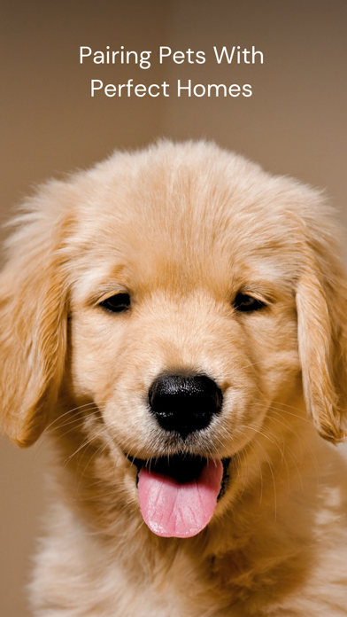 Benji - Adopt & Rehome Pets screenshot 9