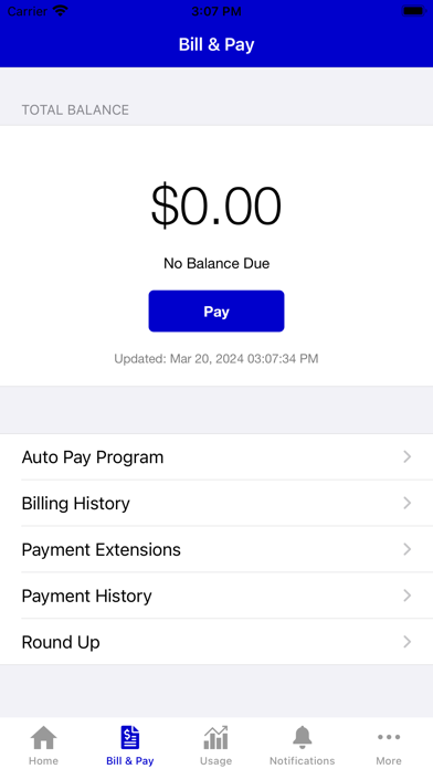 Benton Utilities screenshot 3