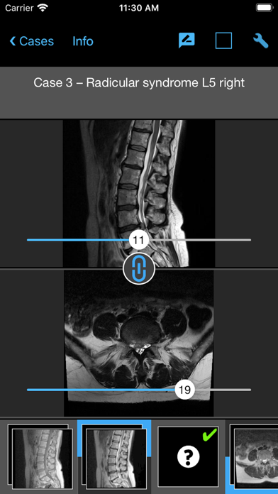 BerlinCaseViewer: Imaging screenshot 2