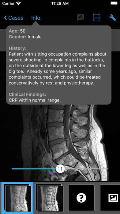 BerlinCaseViewer: Imaging screenshot 5