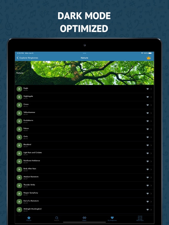 Best Ringtones 2026 for iPhone screenshot 3