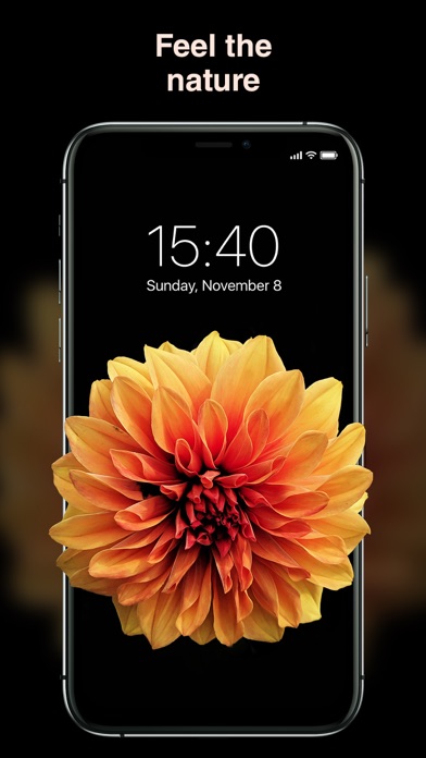 Best Wallpapers 4K screenshot 1