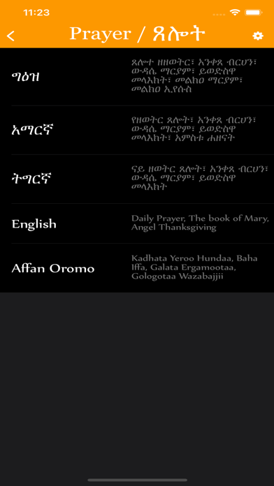 Bete Tselot screenshot 7