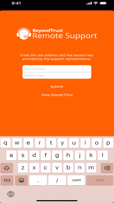 BeyondTrust Support screenshot 1