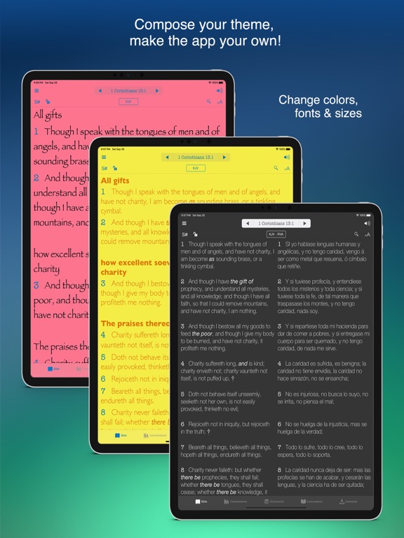 Bible KJV Strong's Concordance screenshot 7