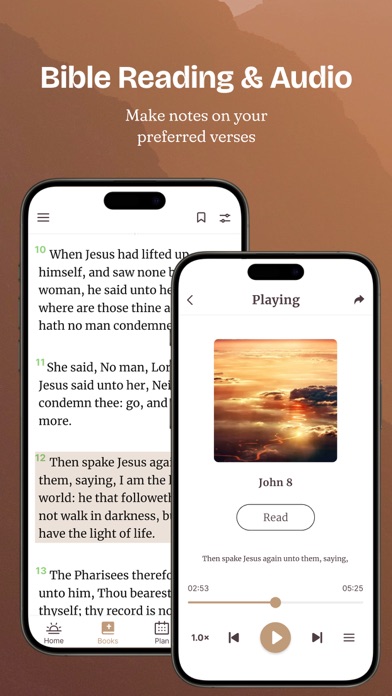 Bible Offline - KJV Holy Bible screenshot 3