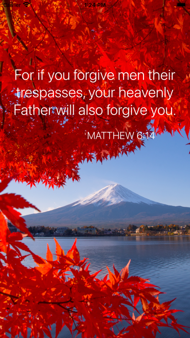 Bible Verse of the Day! screenshot 10