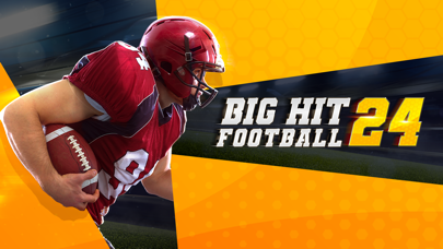 Big Hit Football 24 screenshot 5